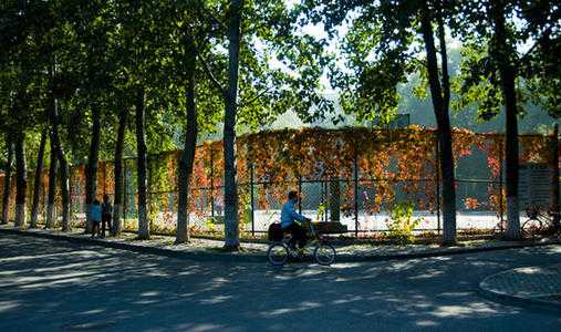 成都哪所学校铁路专业好就业 推荐:中国五冶高级